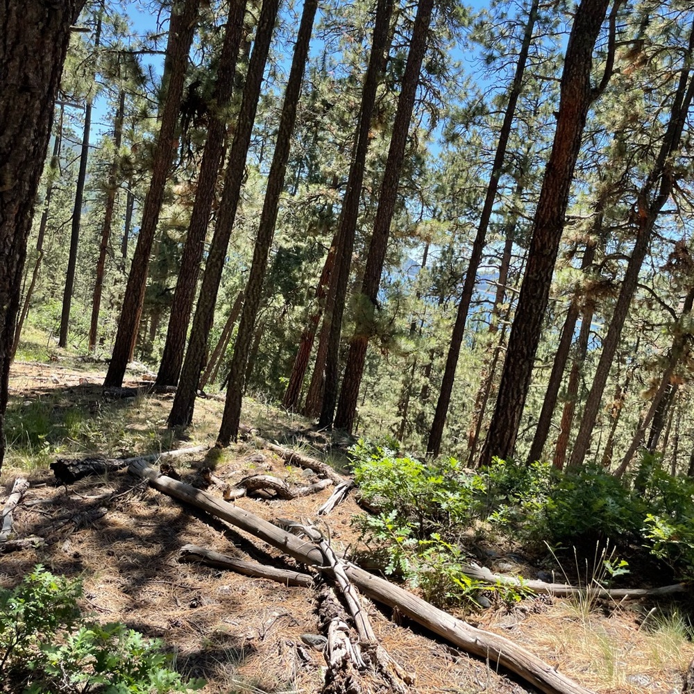 Meet your Posher, Deja